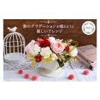 花 苗木 プリザーブドフラワー シャルマン