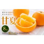 果物類 みかん 安心して 甘酸っぱい爽快感