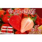 いちじく いちご やよいひめ 約 3kg