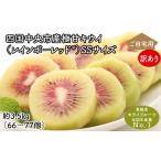 果物類 ぽぽ農園 訳あり レインボーレッドキウイ