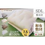 タオル 寝具 敷布団 セミダブルロング 綿100%