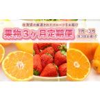 いちご 定期便3ヶ月 旬の果物 定期便 3回