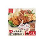 かまぼこ 練り製品 さつまあげ 毎月定期便