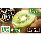 果物類 キウイ 訳あり キウイフルーツ ヘイワード