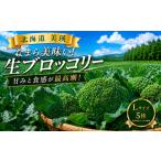 令和8年産 ブロッコリー 5株