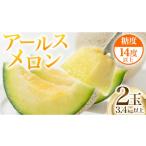 メロン メロン青肉 季節 甘さ満点 アールスメロン 2玉