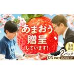 いちご あまおうDX等級 1ケース 約250g×2パック