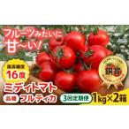 野菜類 トマト 全3回定期便 フルティカ 2kg