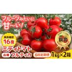 野菜類 トマト 全6回定期便 フルティカ 2kg