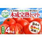 fu.... налог овощи вид помидор Ehime префектура . десять тысяч высота . блок .. для дерево .... помидор 4kgl Ehime префектура . десять тысяч высота . блок производство специальный культивирование прямая поставка от производителя . лето овощи ...... помидор свежий...