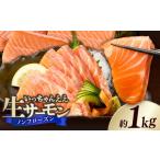 魚貝類 サーモン 生サーモン ノンフローズン