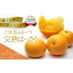 みかん 柑橘類 ご褒美ふるーつ 完熟ハッサク 約3.8kg