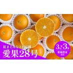 みかん 柑橘類 2026年11月下旬頃 愛果28号