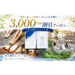 体験チケット 3000円 割引 クーポン チケット