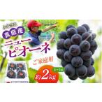 果物類 ぶどう 植木さんのニューピオーネ 約2kg