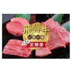 牛肉 サーロイン チョイス 定期便 飛騨牛いろいろ定期便