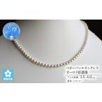 真珠 ネックレス イヤリング セット シルバー