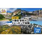 体験チケット 湯元 凌雲閣 日帰り 安政火口