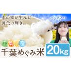 米 コシヒカリ お米 千葉めぐみ米 20kg