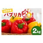 野菜類 完熟 パプリカ 赤 黄2色セット 2kg