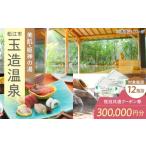 宿泊券 温泉 玉造温泉共通クーポン券 寄附額100万円