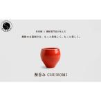 食器 グラス タンブラー 有田焼 酎呑みCHUNOMI