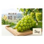 ぶどう マスカット シャインマスカット 晴王 5kg
