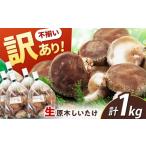 fu.... налог овощи вид .. . Gifu префектура Shirakawa блок есть перевод не комплект . дерево ....1kg(200g×5 пакет )...... шиитаке есть перевод местного производства Gifu Shirakawa блок | Shimizu .......