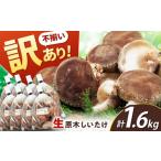 fu.... налог овощи вид .. . Gifu префектура Shirakawa блок есть перевод не комплект . дерево ....1.6kg(200g×8 пакет )...... шиитаке есть перевод местного производства Gifu Shirakawa блок | Shimizu ......