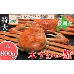 カニ ずわいガニ 20-328 本ずわいがに姿