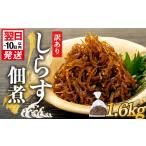 訳あり 釜揚げ しらす 佃煮 1.6kg