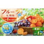 いちご フルーツ定期便 年4回 旬のフルーツ定期便