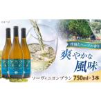 ソーヴィニヨンブラン 3本