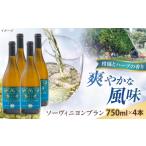 ソーヴィニヨンブラン 4本