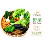 セット 詰合せ 3回定期便 朝採れ新鮮 野菜セット