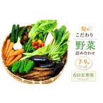 セット 詰合せ 6回定期便 朝採れ新鮮 野菜セット