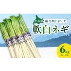 野菜類 ねぎ 厳寒期の希少品 軟白ネギ 6kg