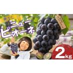果物類 ぶどう ニューピオーネ 2kg