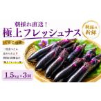 野菜類 先行受付 3回定期便 優秀賞受賞なす 計4.5kg