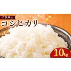 米 コシヒカリ お米 10kg