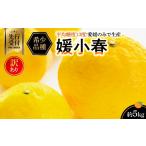 みかん 柑橘類 先行受付 小林果園の宮内いよかん 約5kg