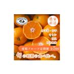 みかん 柑橘類 発送月固定定期便 愛媛の美味しい