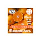 果物類 みかん 発送月固定定期便 愛媛の美味しい柑橘