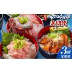 カツオ 3回定期便 マグロ かつお堪能定期便