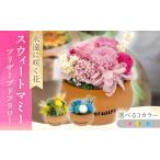 花 ピンク スウィートマミー ACCK012-1
