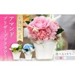 花 ソーダブルー アマンド ACCK014-2