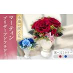 花 苗木 レッド マーティン ACCK025-1