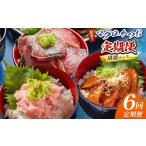 カツオ 6回定期便 マグロ かつお堪能定期便