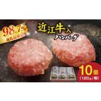 牛肉 ハンバーグ 近江牛入 生 1.2kg