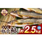 川魚 あゆ 冷蔵 白子鮎約2.5kg N070-YB926-1